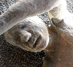 Жертвы и тела в Помпеи